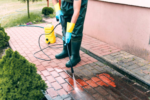 Best Roof Pressure Washing  in Maysville, GA